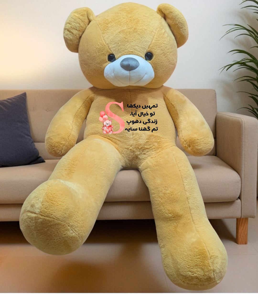 Ishq plushie | First time in Pakistan | Urdu | Customised - Cuddles