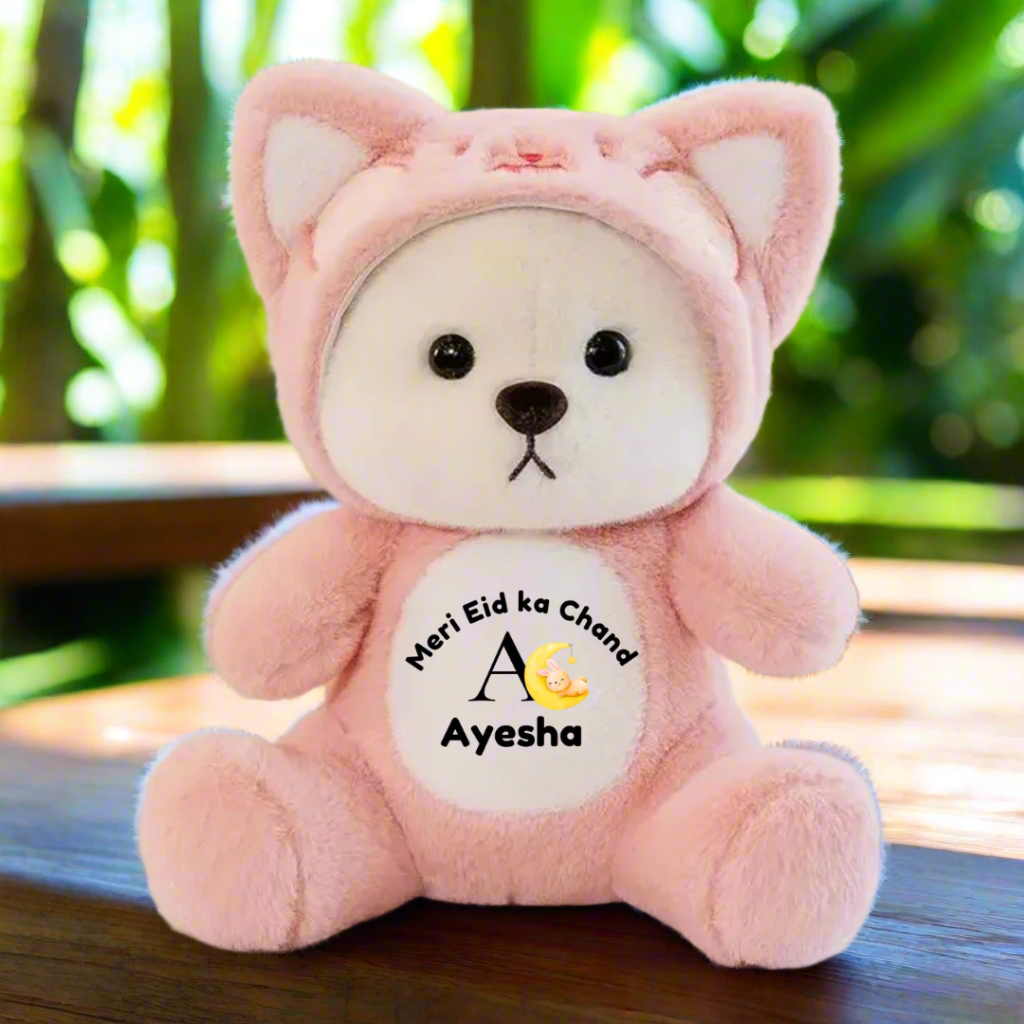 Customized Hoodie Bear | Teddy Bear | 4 colors