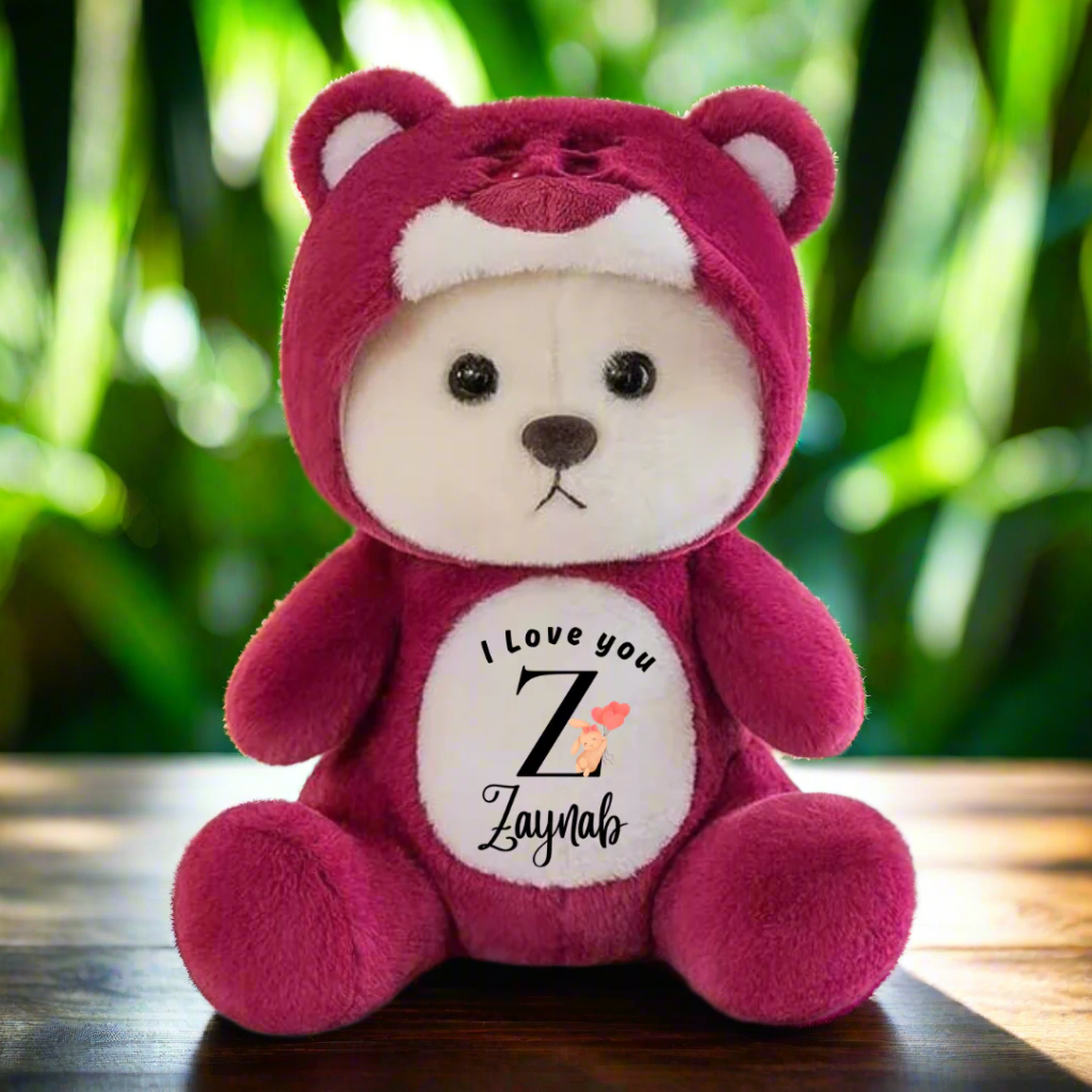 Customized Hoodie Bear | Teddy Bear | 4 colors