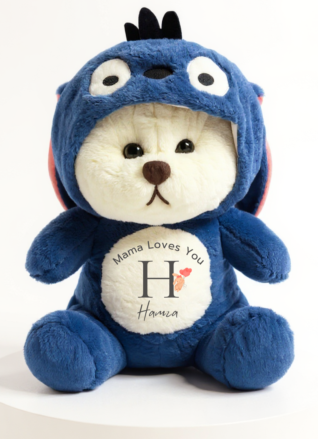 Customized Hoodie Bear | Teddy Bear | 4 colors