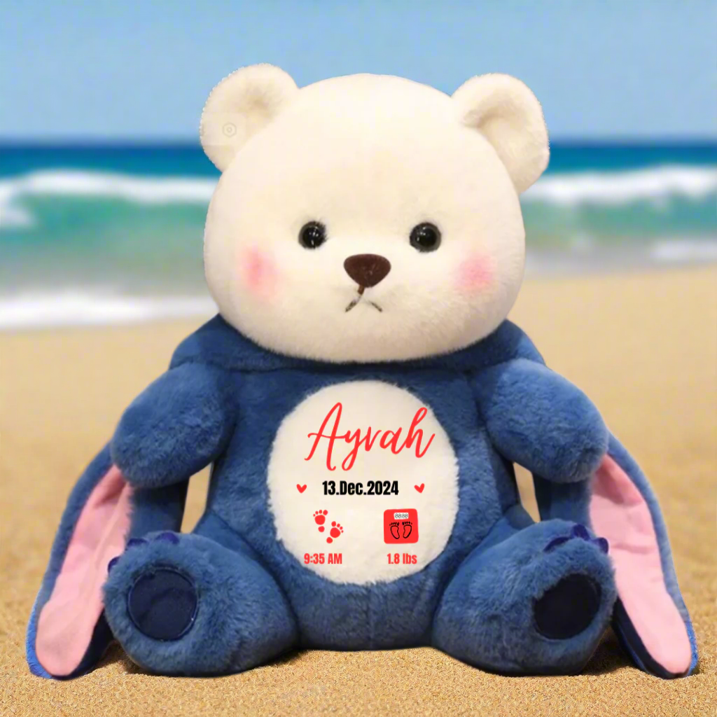 Birth Announcement Plushie | First time in Pakistan | Customised