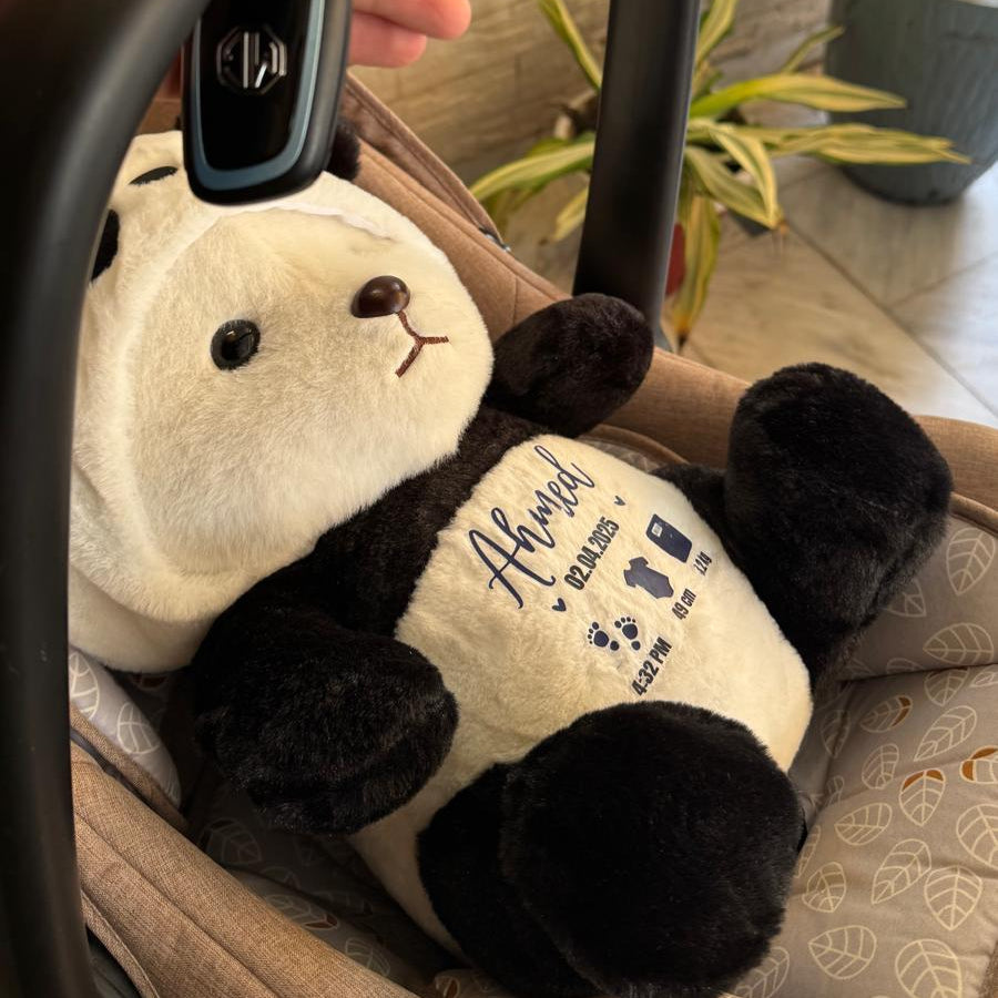 Birth Announcement Plushie | First time in Pakistan | Customised