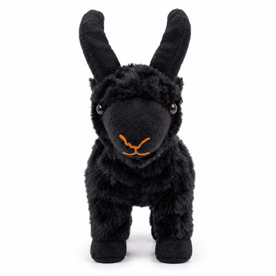Little Horns Goat black front view