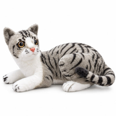 Whisker Stripe Kitty grey tabby front view