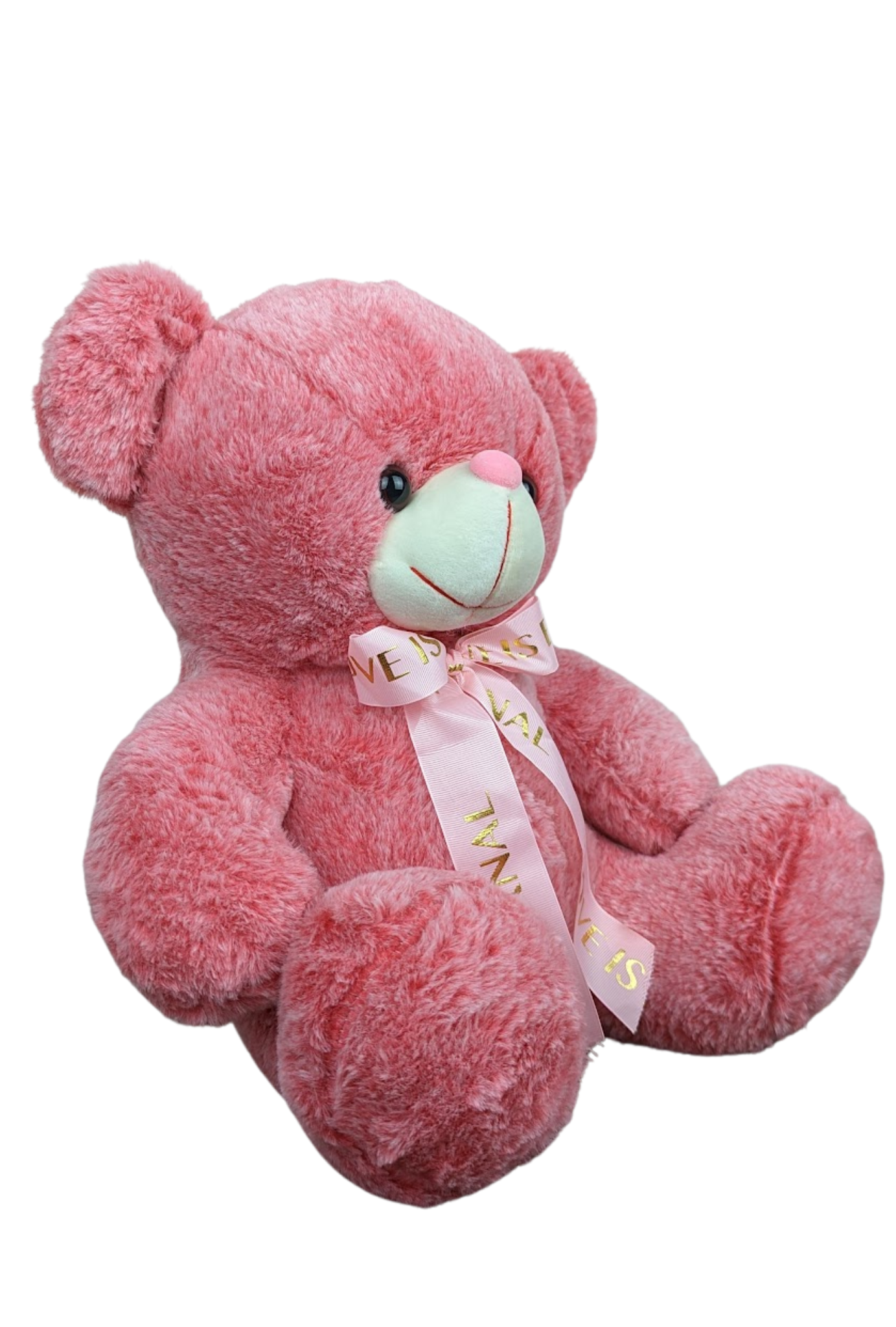 Eternal Love Teddy | 1.5ft | 4 colors | Scented - Cuddles