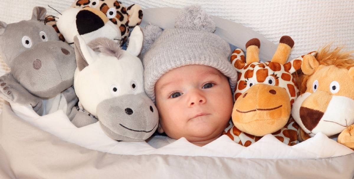 Cuddles- Plushiest & Cutest Stuffed Toys