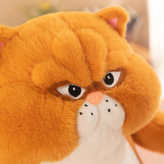 Grumpy Paws |50cm | Orange - Cuddles