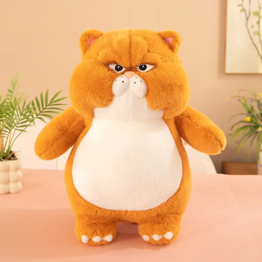 Grumpy Paws |50cm | Orange - Cuddles