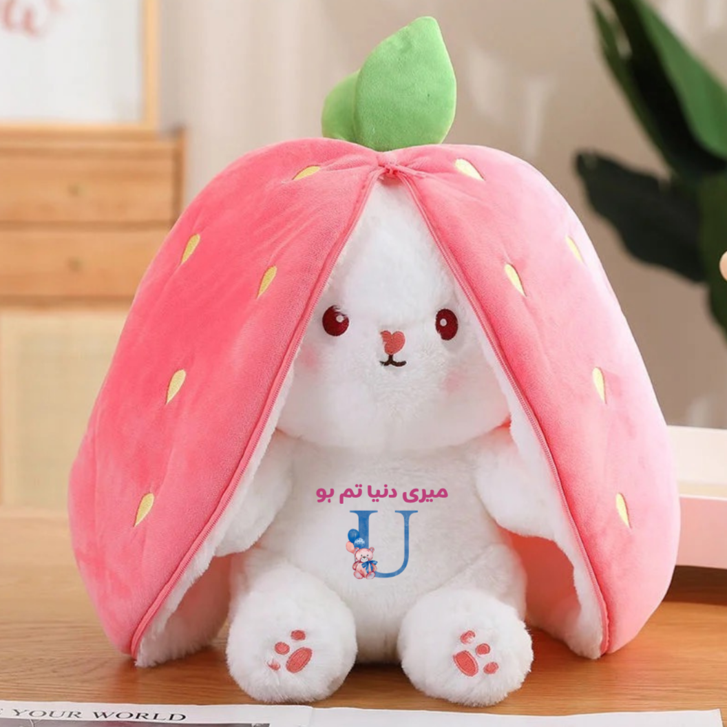 Ishq plushie | First time in Pakistan | Urdu | Customised