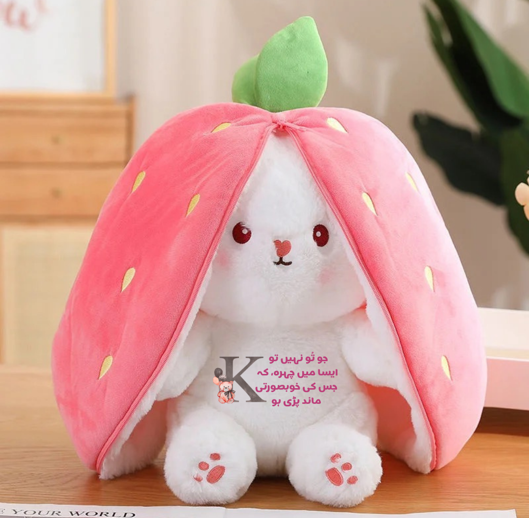Ishq plushie | First time in Pakistan | Urdu | Customised