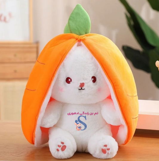 Ishq plushie | First time in Pakistan | Urdu | Customised