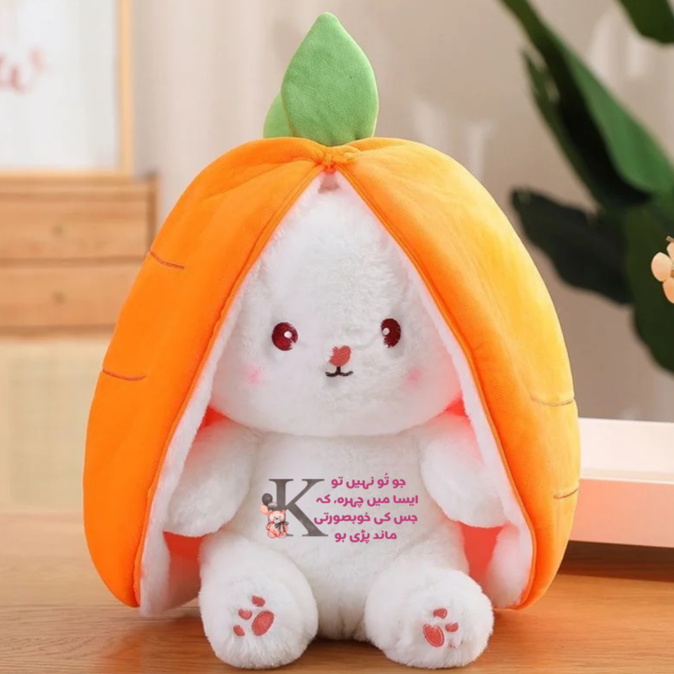 Ishq plushie | First time in Pakistan | Urdu | Customised
