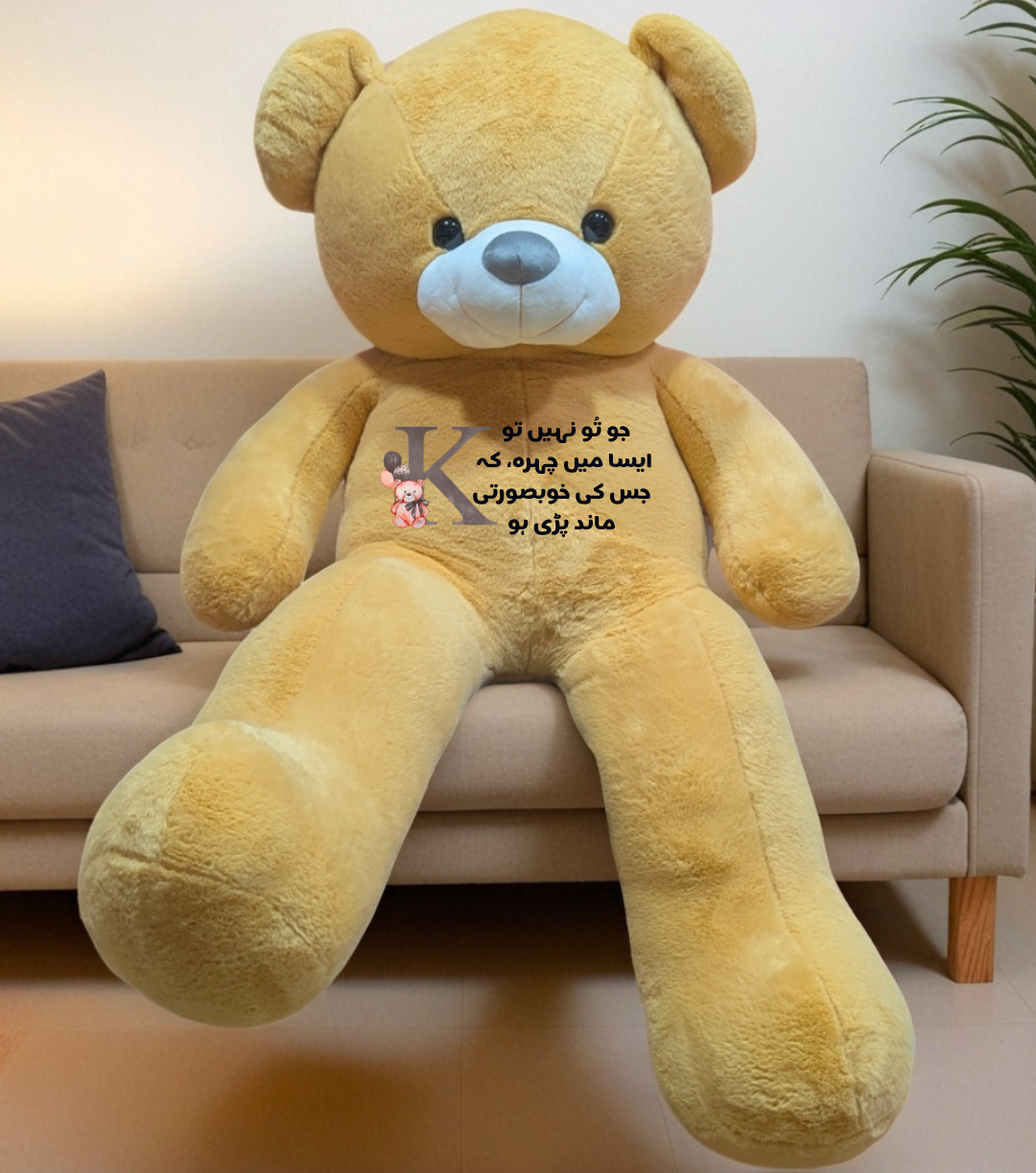 Ishq plushie | First time in Pakistan | Urdu | Customised