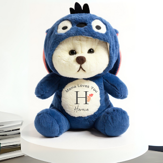 Customized Hoodie Bear | Teddy Bear | 4 colors