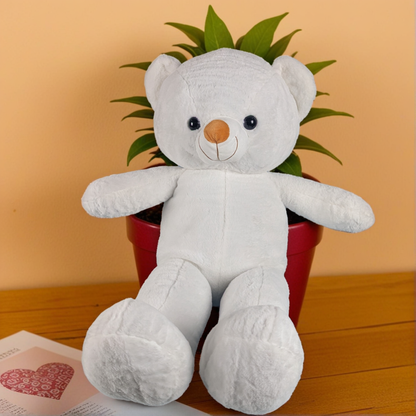 Cuddle Cloud| Teddy Bear | 3 Colors |Customizable & scented