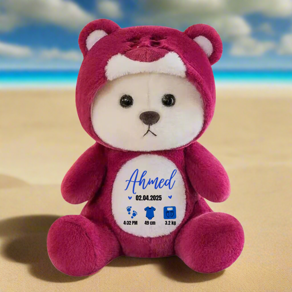 Birth Announcement Plushie | First time in Pakistan | Customised