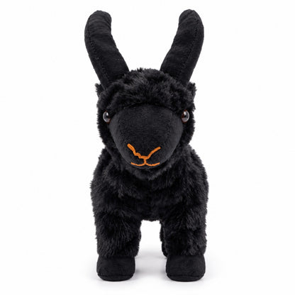 Little Horns Goat black front view
