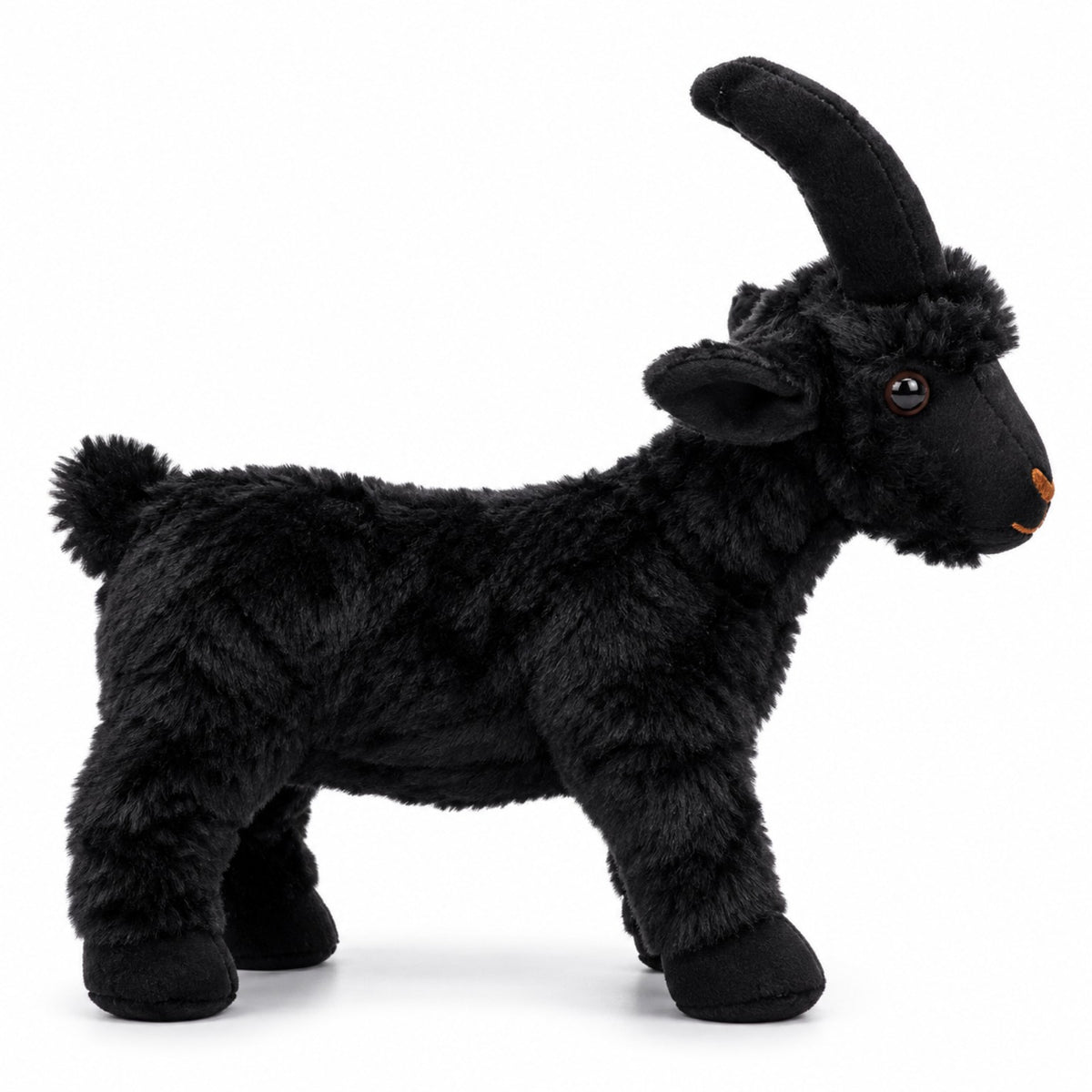 Little Horns Goat black side view