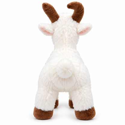 Little Horns Goat white back view