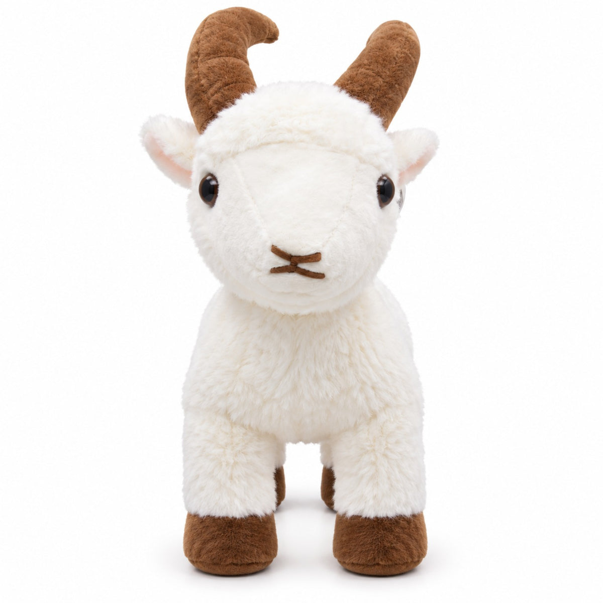 Little Horns Goat white front view