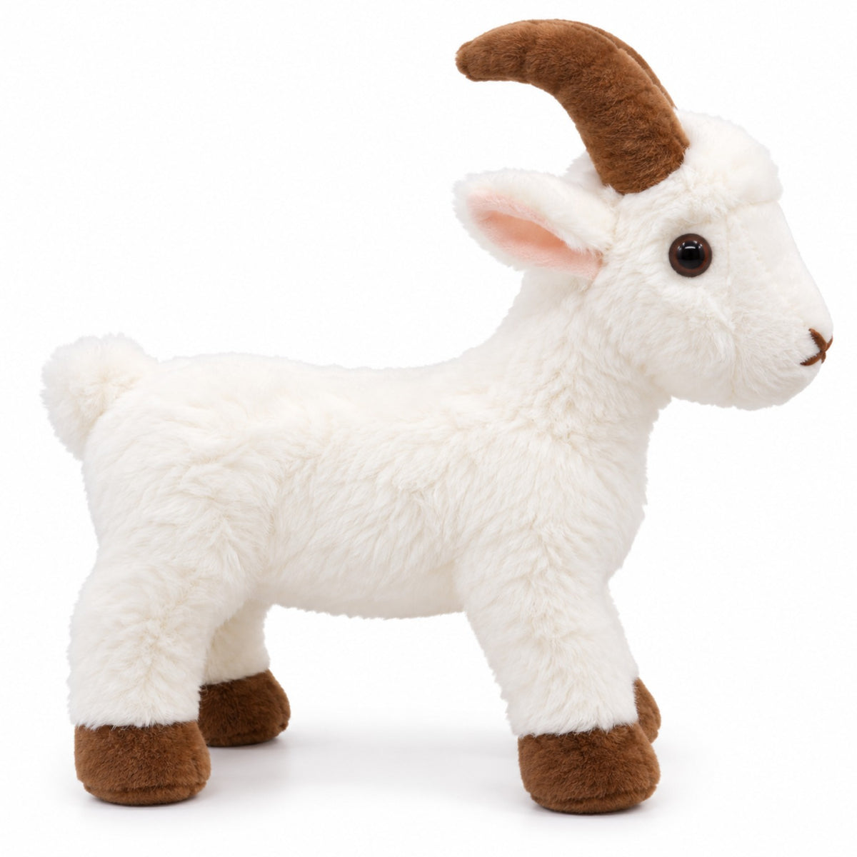 Little Horns Goat white side view