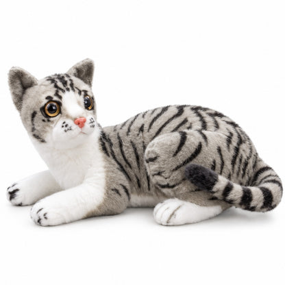 Whisker Stripe Kitty grey tabby front view